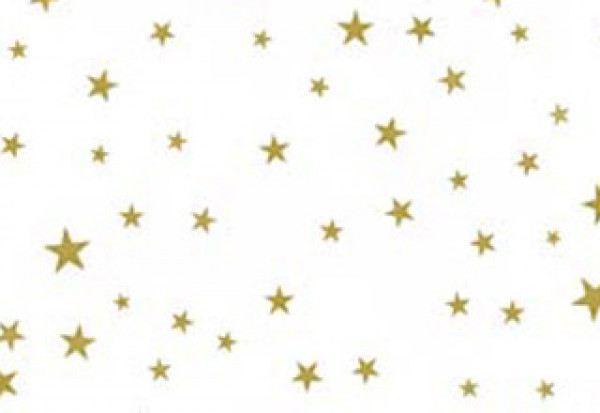 Printed Bags Stars Gold 8.9x5.1x19.1cm with side gusset (100 pieces) [G3MSG]