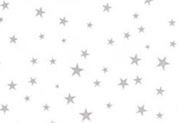 Printed Bags Stars Silver 12.7x7.6x29.2cm with side gusset (100 pieces) [G5MSS]