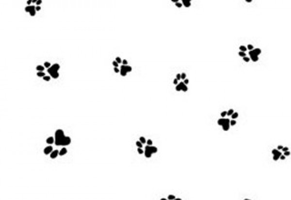 Printed Bags Paws 8.9x5.1x19.1cm with side gusset (100 pieces) [G3PAW]