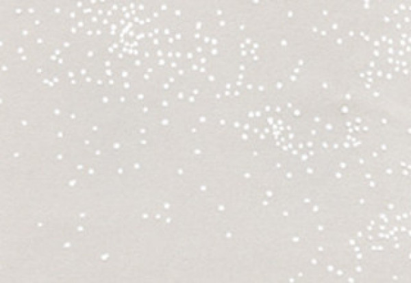 Printed Bags little Dots White 8.9x5.1x19.1cm with side gusset (100 pieces) [G3SW]