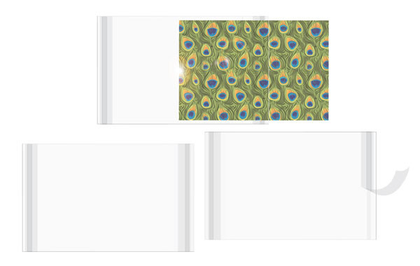 Photo Display Pouches 13x18.1cm (100 pieces) [CPM5X7S]