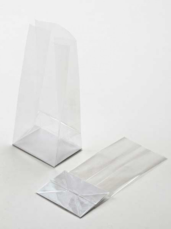 Block Bottom Bags Super Clear 7.6x3.2x21cm with paper insert (100 pieces) [FGPB14]