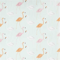 Wrapping Paper, W: 50 cm, 80 g, 5 m [HOB-190400]