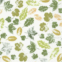 Table Napkins, size 33x33 cm, 20 pcs [HOB-25322]