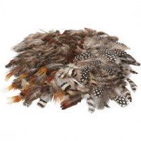 Natural Feathers, 6 packs [HOB-51820]