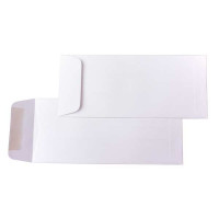 #10 PolicyPremium Opaque Envelopes10.5 x 24.1 cm (E1C0