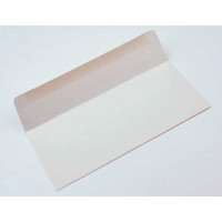 #10 Square FlapPremium Opaque 24.1 x 10.5 cm (50 pieces) [E1D1]