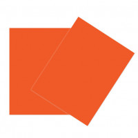 Cards Orange 21.6x27.9cm (50 pieces) [PC409]