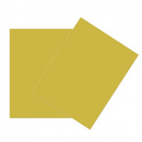 Cards Gold/Green 21.6x27.9cm (50 pieces) [PC411]