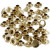 Rivets, D: 7 mm, 50 pcs, brass [HOB-406150]