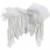 Feather Wings, W: 11 cm, 10 pcs, white [HOB-48258]