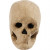 Skull, H: 10 cm, 1 pc [HOB-592572]