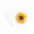 Plastic Bags 22.1x21.7cm Transparent Peel and Seal (100 pieces) [B8X8M]