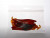 Grip Seal Bags with Euroslot 15.2x10.2cm laminated (100 pieces) [HZB64]