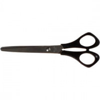 School Scissors, L: 16 cm, 1 pc [HOB-11168]