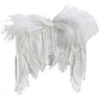 Feather Wings, W: 11 cm, 10 pcs, white [HOB-48258]
