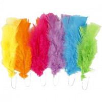 Feathers, L: 11-17 cm, 18 bundles, asstd. colours [HOB-518460]