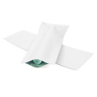 Plastic Bags White 3.8x10.2cm Tamper-proof Heat sealable (100 pieces) [CRB4W]