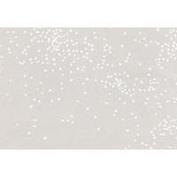 Printed Bags little Dots White 8.9x5.1x19.1cm with side gusset (100 pieces) [G3SW]